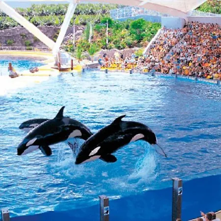 Near To The Ocean In Touristic Center Zone شقة Playa Feñabe